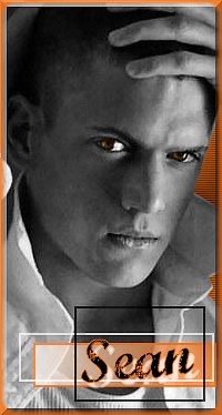 Cristiano Ronaldo on 254 Age 24 Cote Coeur Mon Ange Isa Date D Inscription 22 12 2006 Sujet