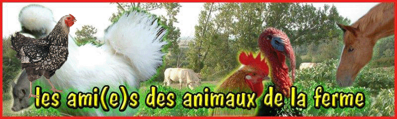 Forum des amis des animaux
