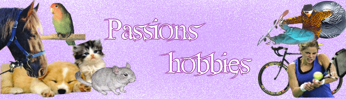 P A S S I O N S - H O B B I E S