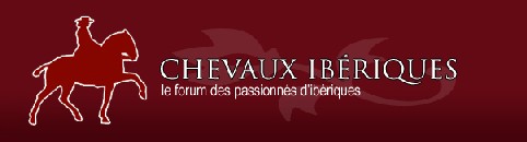 Chevaux ibériques