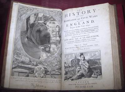 Shar Pei History