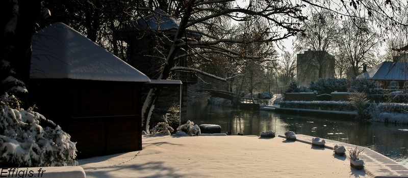 20100110.jpg