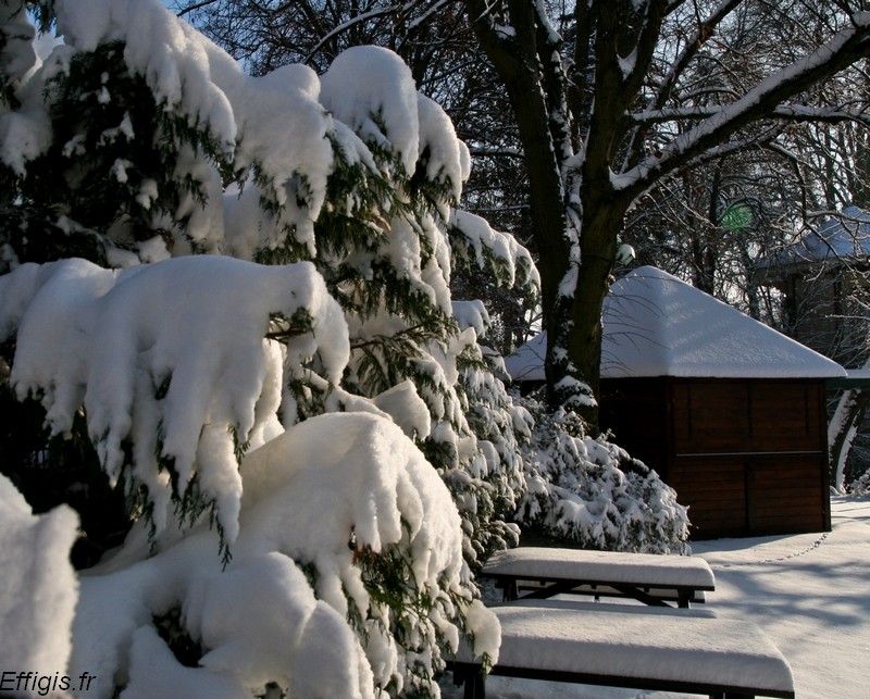 20100111.jpg