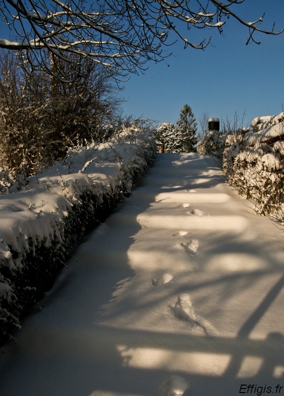 20100112.jpg