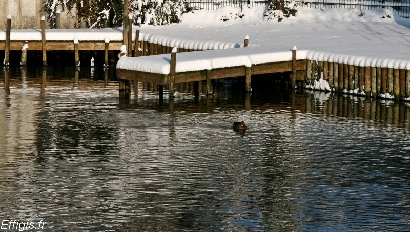 20100115.jpg