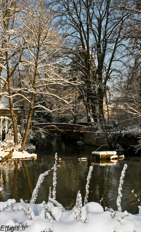 20100116.jpg