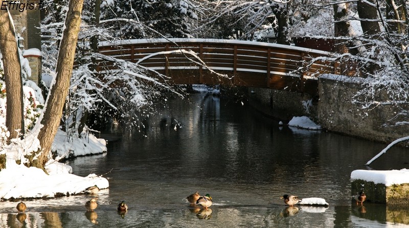 20100117.jpg
