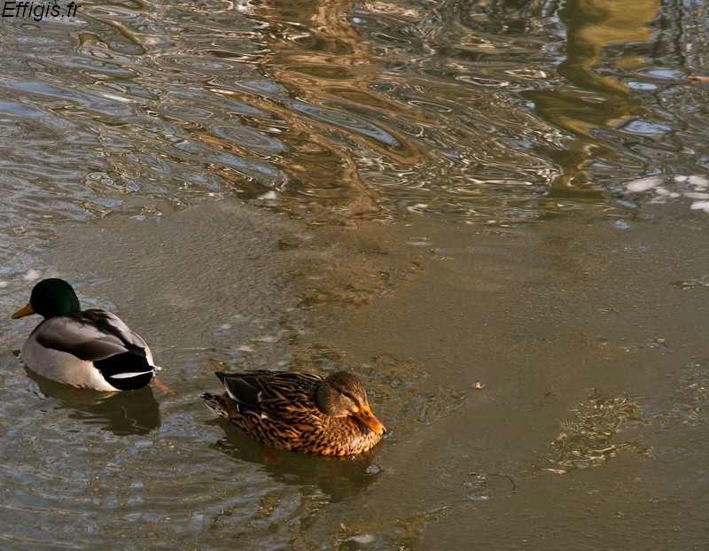 20100119.jpg