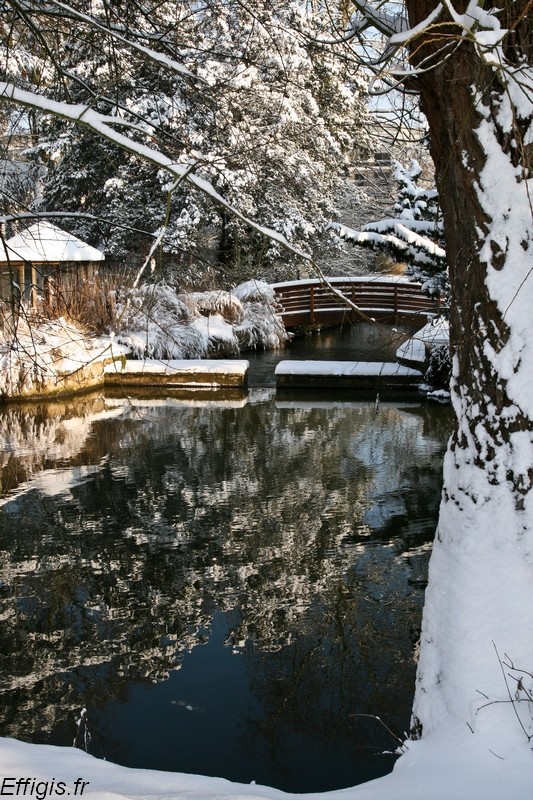 20100120.jpg