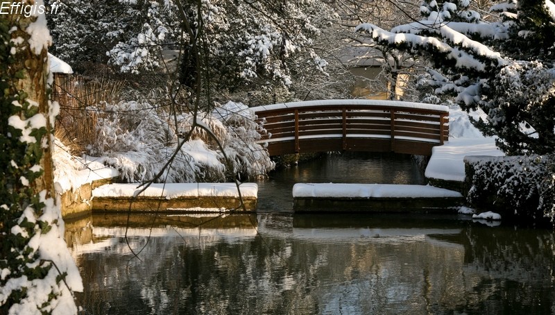 20100121.jpg