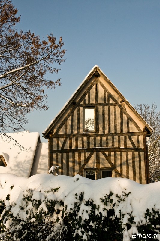 20100122.jpg