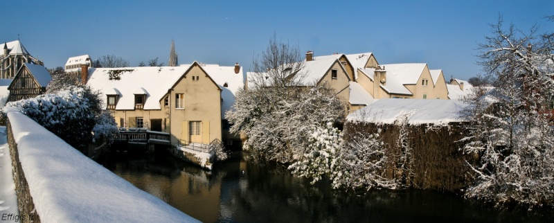 20100127.jpg