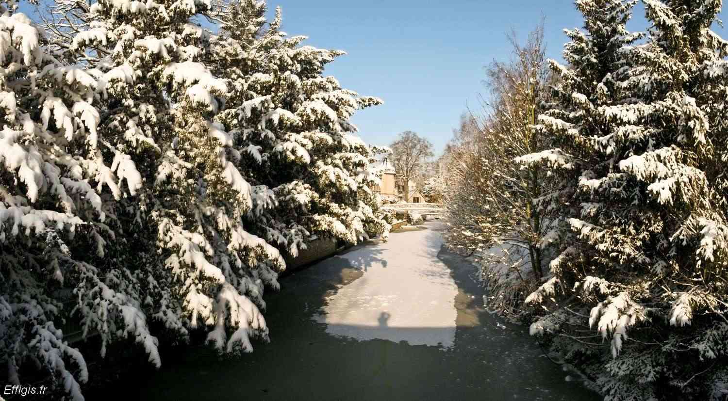 20100130.jpg
