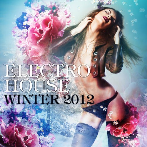 Electro House Winter (2012) Electro House Winter (2012)