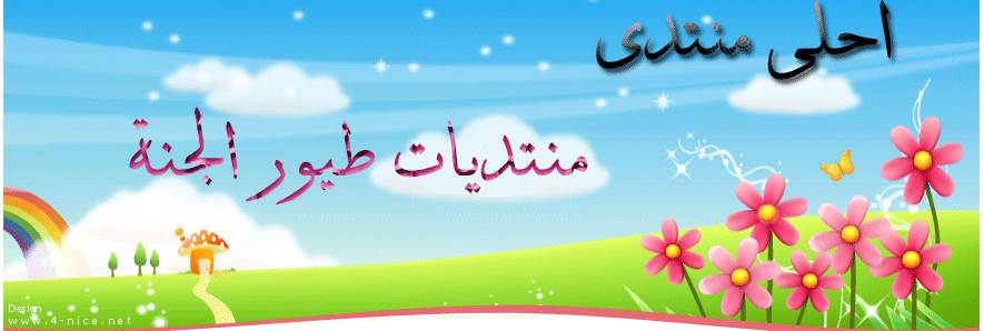 منتديات طيور الجنة