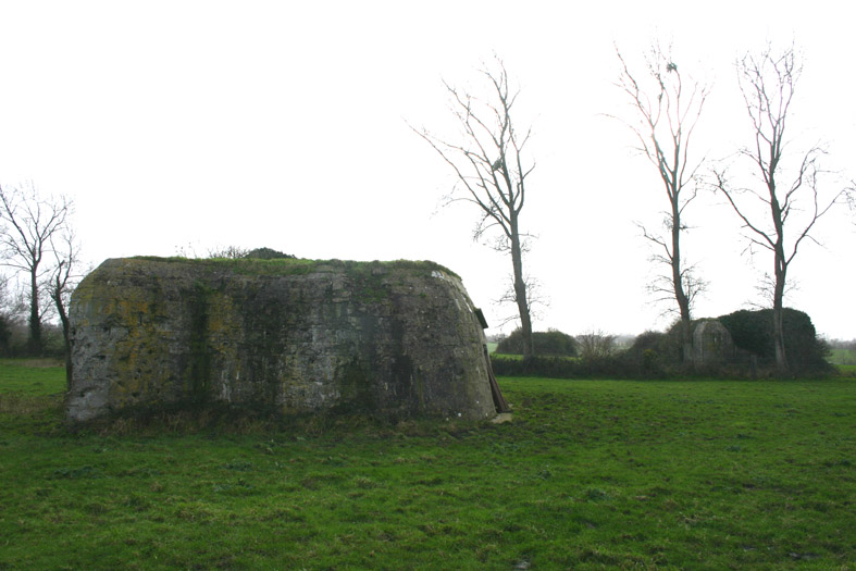 3c11.jpg