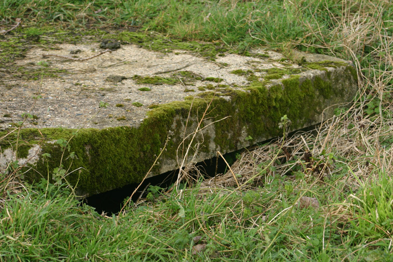 abris_11.jpg