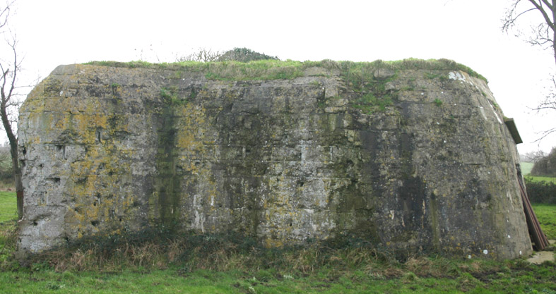 bat1_310.jpg