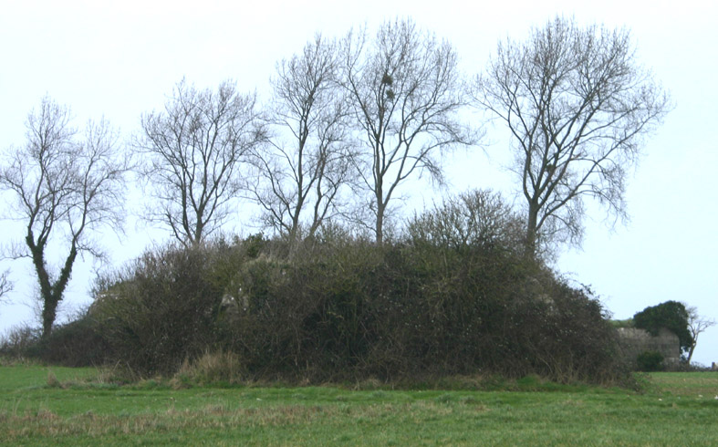 bat3_310.jpg