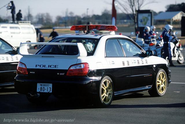police12.jpg