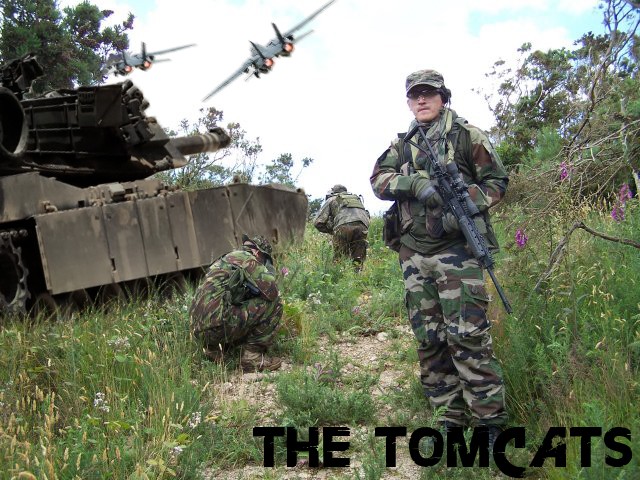 tomcat10.jpg