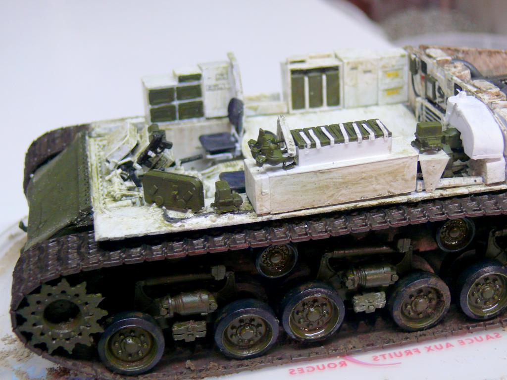 sherm473.jpg