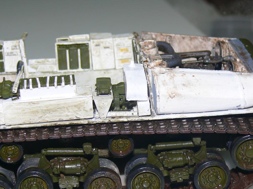 sherm475.jpg