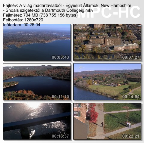 a_vilz78.jpg