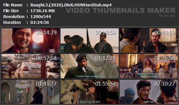 baaghi15.jpg