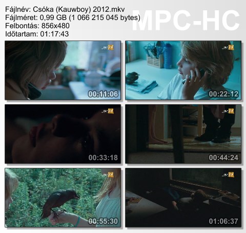 cszka111.jpg