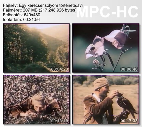 egy_ke11.jpg