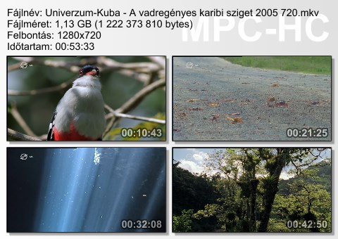 unive107.jpg