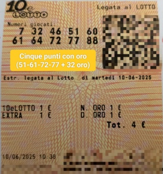 10062510.jpg
