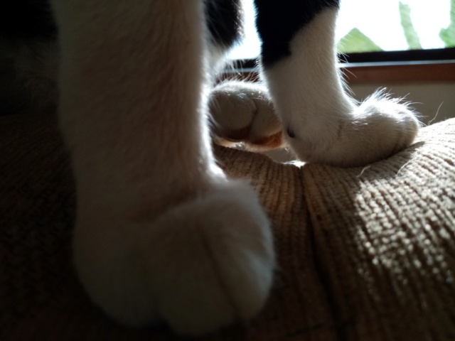 img-e111.jpg